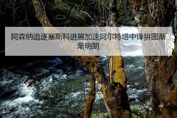 阿森纳追逐塞斯科进展加速阿尔特塔中锋拼图渐渐明朗