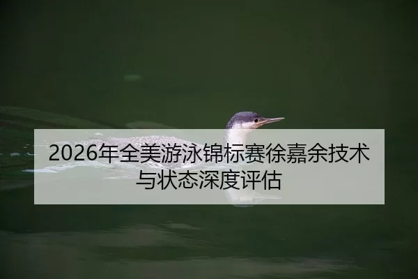 2026年全美游泳锦标赛徐嘉余技术与状态深度评估