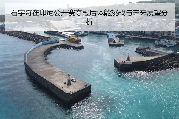 石宇奇在印尼公开赛夺冠后体能挑战与未来展望分析