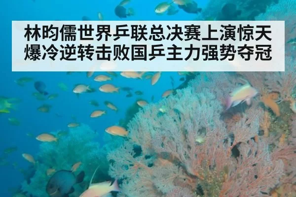 林昀儒世界乒联总决赛上演惊天爆冷逆转击败国乒主力强势夺冠