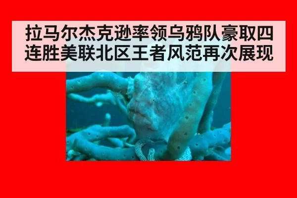 拉马尔杰克逊率领乌鸦队豪取四连胜美联北区王者风范再次展现