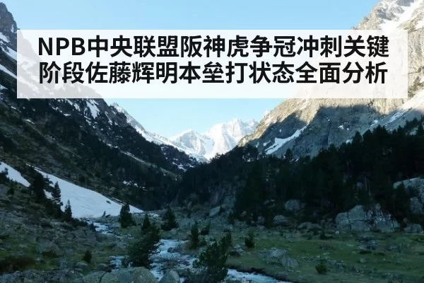 NPB中央联盟阪神虎争冠冲刺关键阶段佐藤辉明本垒打状态全面分析